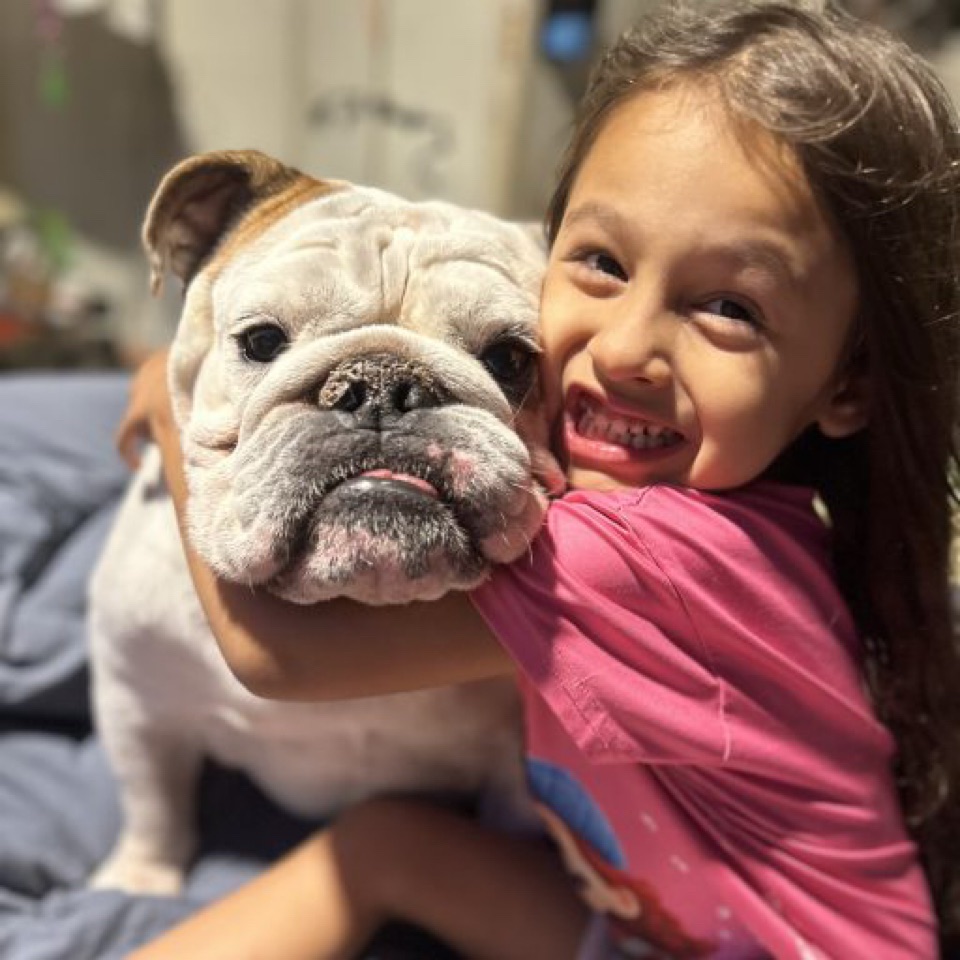 Happy Tails Doggo Delights